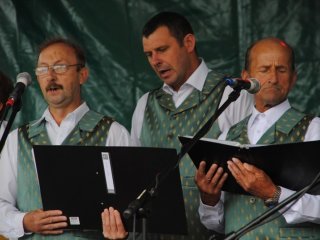 Festiwal Sztuki Lokalnej "Biłgorajska Nuta" 2011 w Dylach