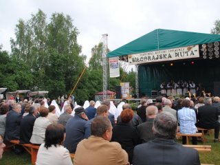 Festiwal Sztuki Lokalnej "Biłgorajska Nuta" 2011 w Dylach