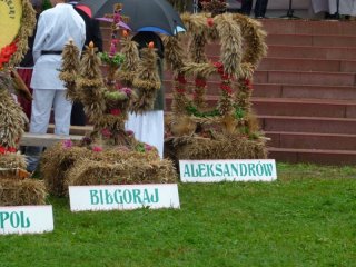 Dożynki Powiatu Biłgorajskiego w Aleksandrowie