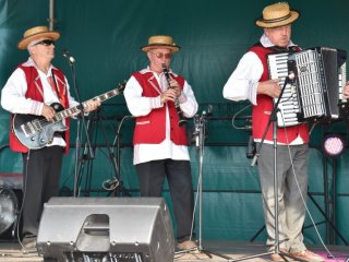 VII Festiwal Sztuki Lokalnej "Biłgorajska Nuta" w Dylach 2016