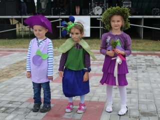 Bukowskie Jagodzianki 2016
