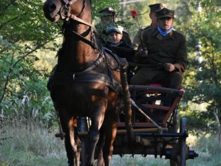 IV Piknik Historyczny w Brodziakach