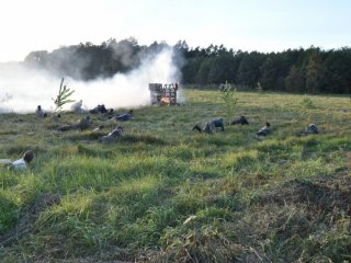 Piknik Historyczny "Wieś dla Niepodległej" 2018