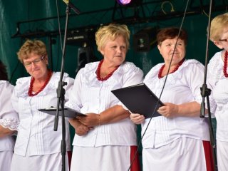 Piknik Rodzinny - Dąbrowica 2019