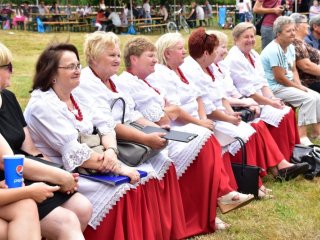 Piknik Rodzinny - Dąbrowica 2019