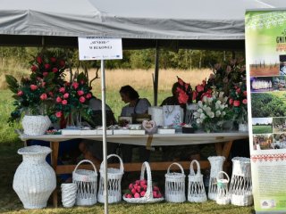 Dożynki Gminno-Parafialne w Gromadzie 2019