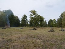 10. Piknik Historyczny w Brodziakach