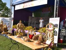 Zespół „Zorza” z Dereźni wystąpił na Festiwalu Obrzędów Dożynkowych w Dubie